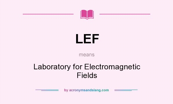 What does LEF mean? It stands for Laboratory for Electromagnetic Fields