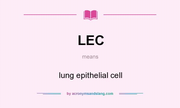 What does LEC mean? It stands for lung epithelial cell