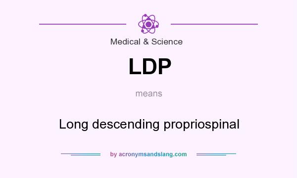 What does LDP mean? It stands for Long descending propriospinal