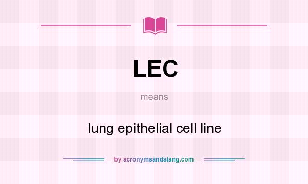 What does LEC mean? It stands for lung epithelial cell line