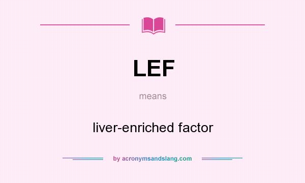 What does LEF mean? It stands for liver-enriched factor