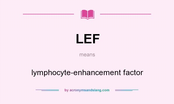 What does LEF mean? It stands for lymphocyte-enhancement factor