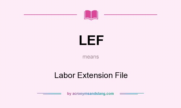 What does LEF mean? It stands for Labor Extension File