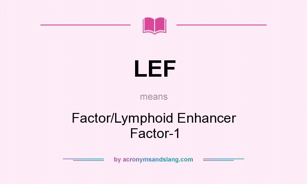 What does LEF mean? It stands for Factor/Lymphoid Enhancer Factor-1