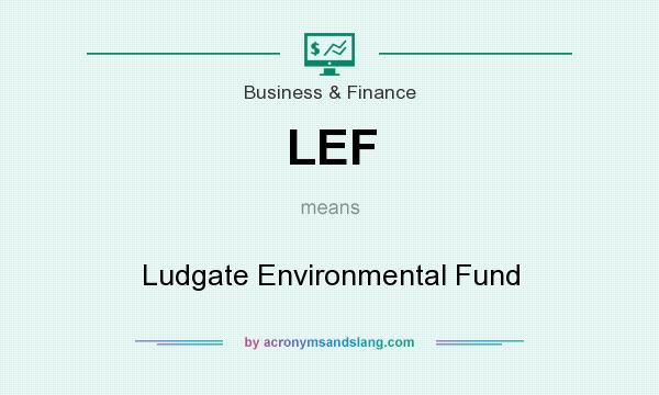 What does LEF mean? It stands for Ludgate Environmental Fund