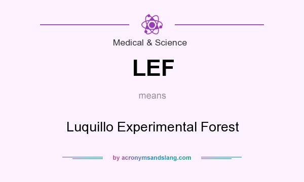 What does LEF mean? It stands for Luquillo Experimental Forest