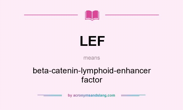 What does LEF mean? It stands for beta-catenin-lymphoid-enhancer factor
