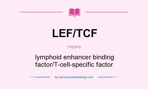 What does LEF/TCF mean? It stands for lymphoid enhancer binding factor/T-cell-specific factor