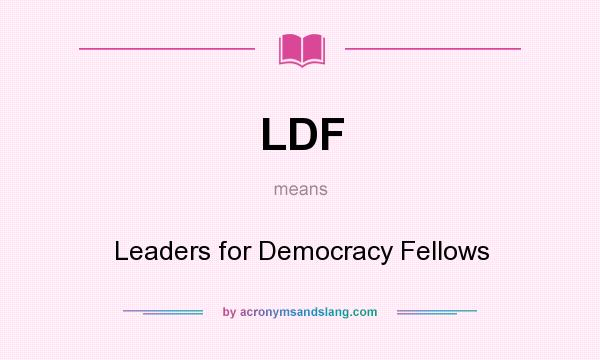 What does LDF mean? It stands for Leaders for Democracy Fellows