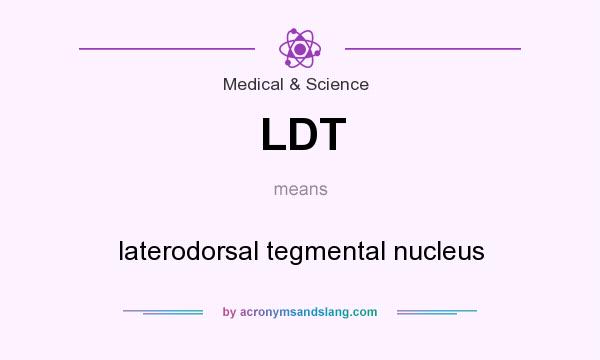 What does LDT mean? It stands for laterodorsal tegmental nucleus