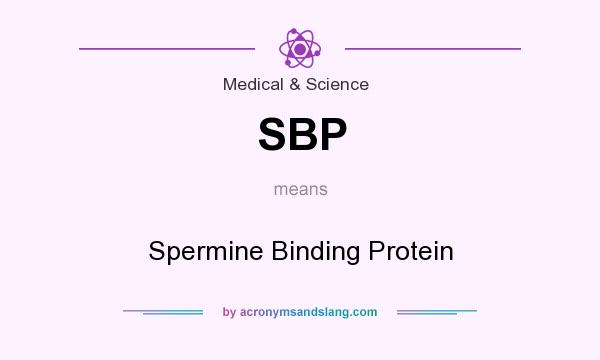 What does SBP mean? It stands for Spermine Binding Protein