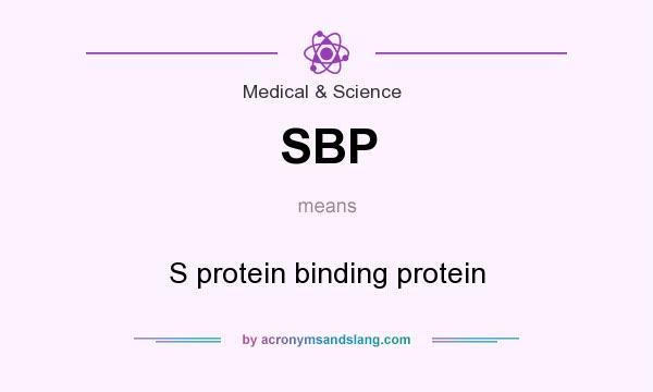 What does SBP mean? It stands for S protein binding protein
