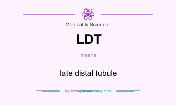 What does LDT mean? It stands for late distal tubule