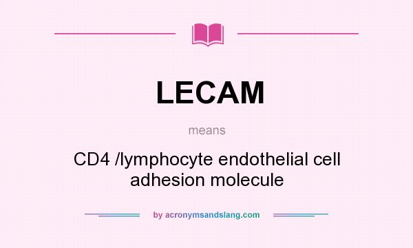 What does LECAM mean? It stands for CD4 /lymphocyte endothelial cell adhesion molecule
