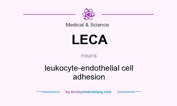 What does LECA mean? It stands for leukocyte-endothelial cell adhesion