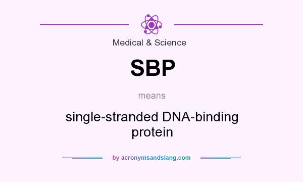 What does SBP mean? It stands for single-stranded DNA-binding protein