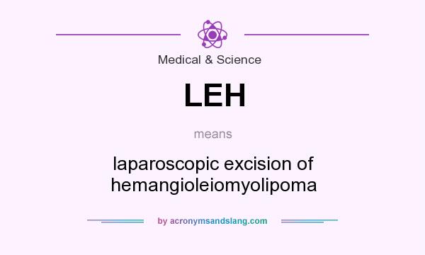 What does LEH mean? It stands for laparoscopic excision of hemangioleiomyolipoma