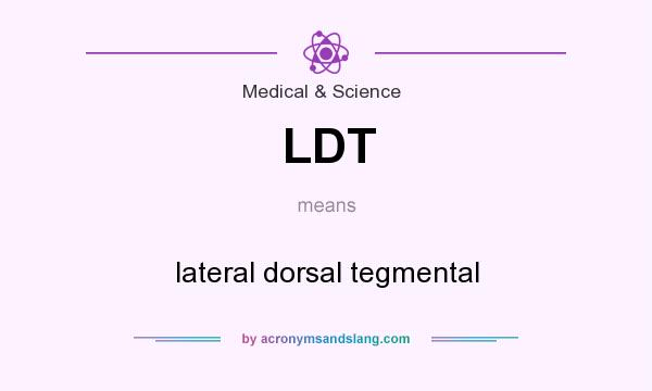 What does LDT mean? It stands for lateral dorsal tegmental