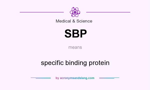 What does SBP mean? It stands for specific binding protein
