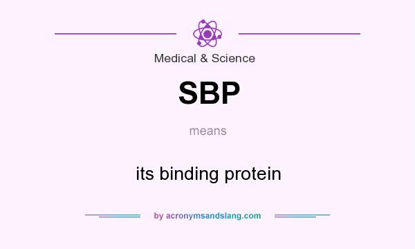 What does SBP mean? It stands for its binding protein