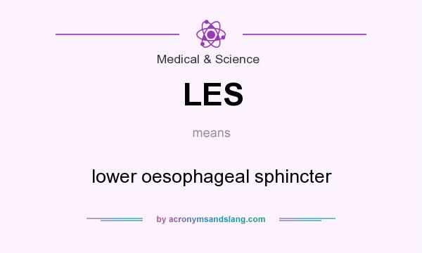 What does LES mean? It stands for lower oesophageal sphincter