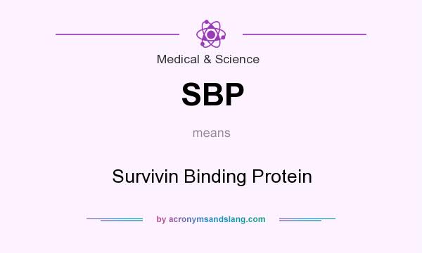 What does SBP mean? It stands for Survivin Binding Protein