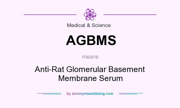 What does AGBMS mean? It stands for Anti-Rat Glomerular Basement Membrane Serum