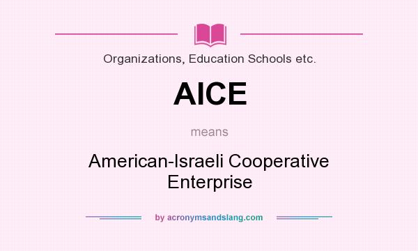 What does AICE mean? It stands for American-Israeli Cooperative Enterprise