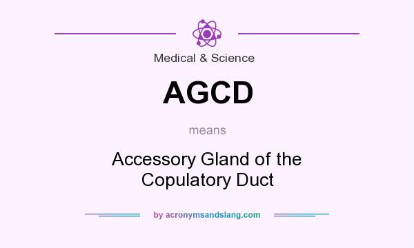 What does AGCD mean? It stands for Accessory Gland of the Copulatory Duct