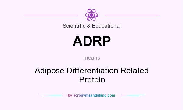 What does ADRP mean? It stands for Adipose Differentiation Related Protein