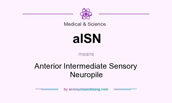 What does aISN mean? It stands for Anterior Intermediate Sensory Neuropile