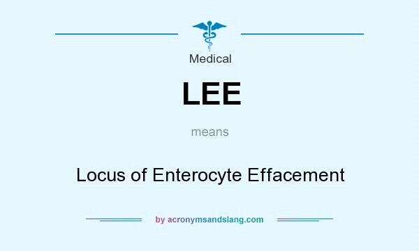 What does LEE mean? It stands for Locus of Enterocyte Effacement