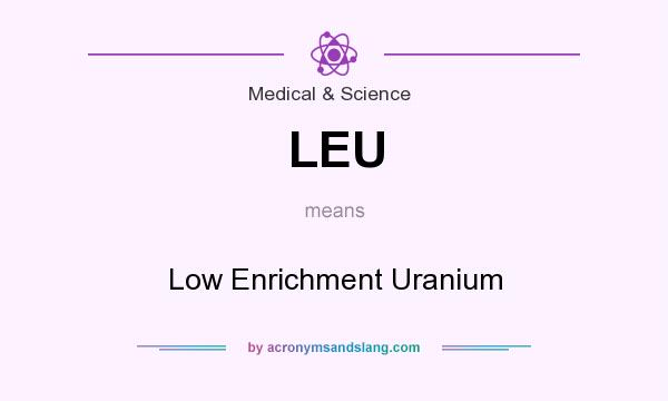 What does LEU mean? It stands for Low Enrichment Uranium