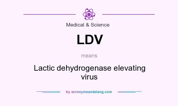 What does LDV mean? It stands for Lactic dehydrogenase elevating virus