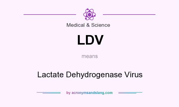 What does LDV mean? It stands for Lactate Dehydrogenase Virus