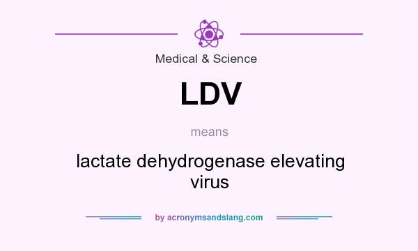 What does LDV mean? It stands for lactate dehydrogenase elevating virus
