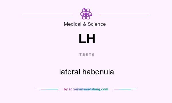 What does LH mean? It stands for lateral habenula