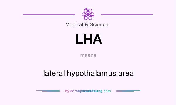 What does LHA mean? It stands for lateral hypothalamus area