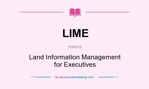 What does LIME mean? It stands for Land Information Management for Executives