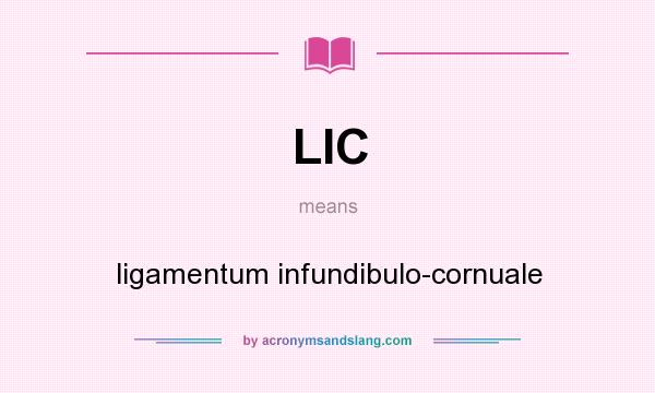 What does LIC mean? It stands for ligamentum infundibulo-cornuale