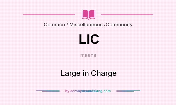What does LIC mean? It stands for Large in Charge