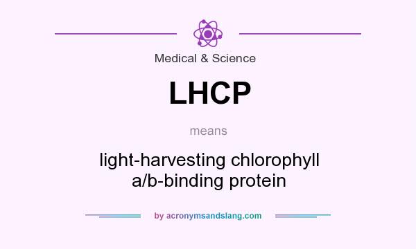 What does LHCP mean? It stands for light-harvesting chlorophyll a/b-binding protein