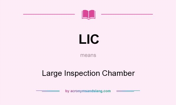 What does LIC mean? It stands for Large Inspection Chamber