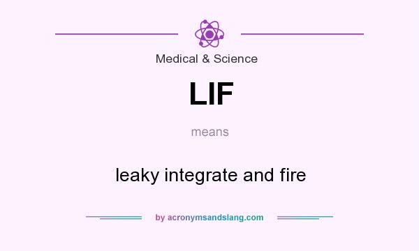 What does LIF mean? It stands for leaky integrate and fire