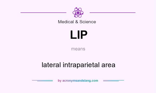 What does LIP mean? It stands for lateral intraparietal area