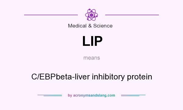 What does LIP mean? It stands for C/EBPbeta-liver inhibitory protein