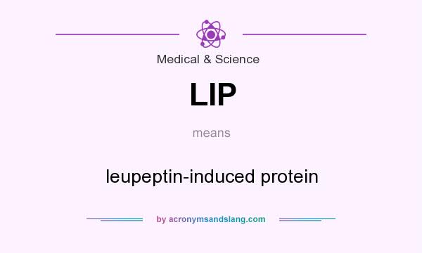 What does LIP mean? It stands for leupeptin-induced protein