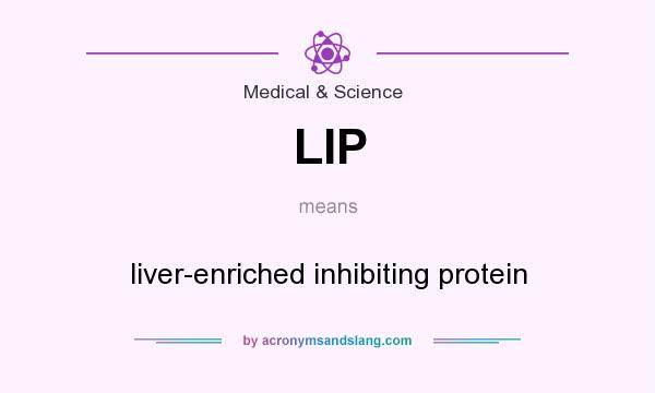 What does LIP mean? It stands for liver-enriched inhibiting protein