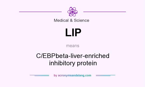 What does LIP mean? It stands for C/EBPbeta-liver-enriched inhibitory protein