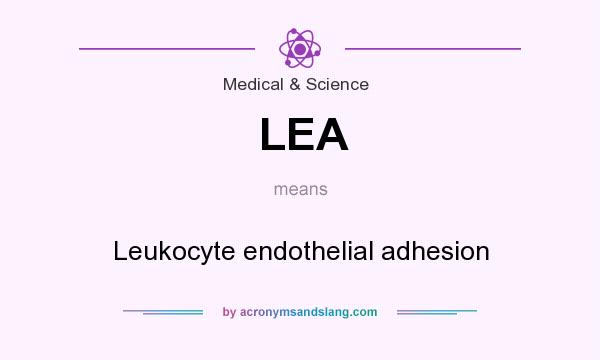 What does LEA mean? It stands for Leukocyte endothelial adhesion